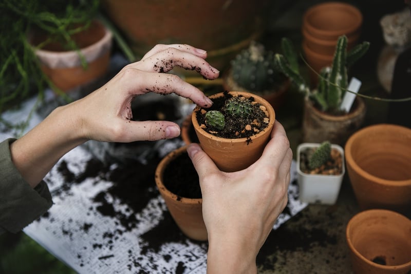 Kids planting a garden