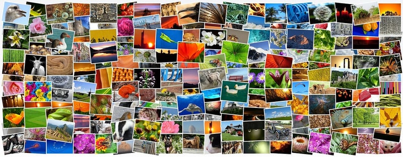 Photo Collage Wall